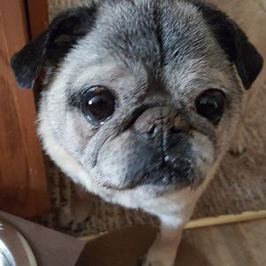 Meet your Posher, Tim